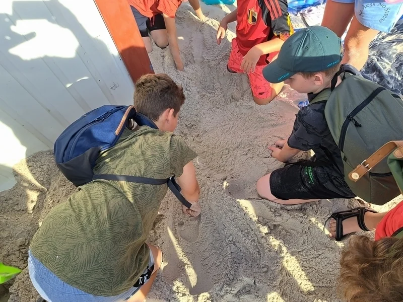 11 2zabawa poszukiwanie skarbow.